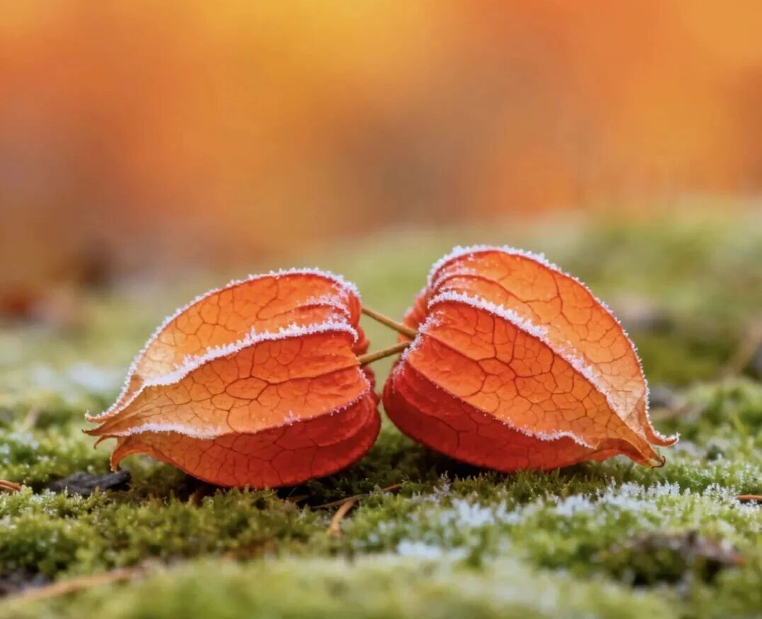 人生感悟，句句精辟深刻