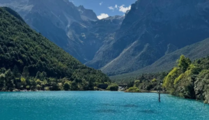 share丨松弛感绿色系 生活壁纸绿色系