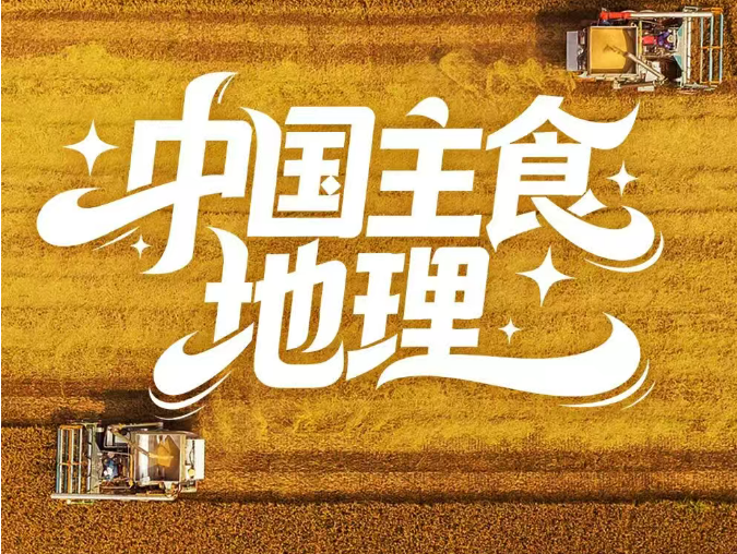 哪一种主食最能代表中国？