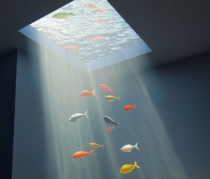 𝐒𝐡𝐚𝐫𝐞 分享一波壁纸