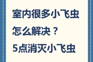 室内很多小飞虫？5个小妙招教你消灭烦人小飞虫！