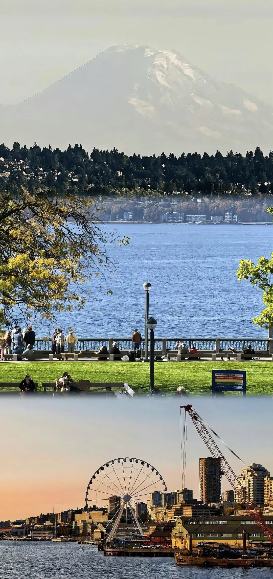 iOS26壁纸｜城市的边缘 安静地欣赏风景