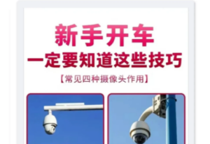 交通规则小百科🚘新手同志一定要多看几遍👏