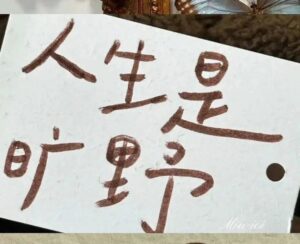 WeChat｜高级质感壁纸🥂