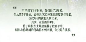 表面的停滞不等于没有进步，根基的深度决定了未来的高度！