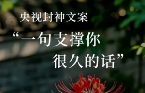 今日精选—央视封神文案！