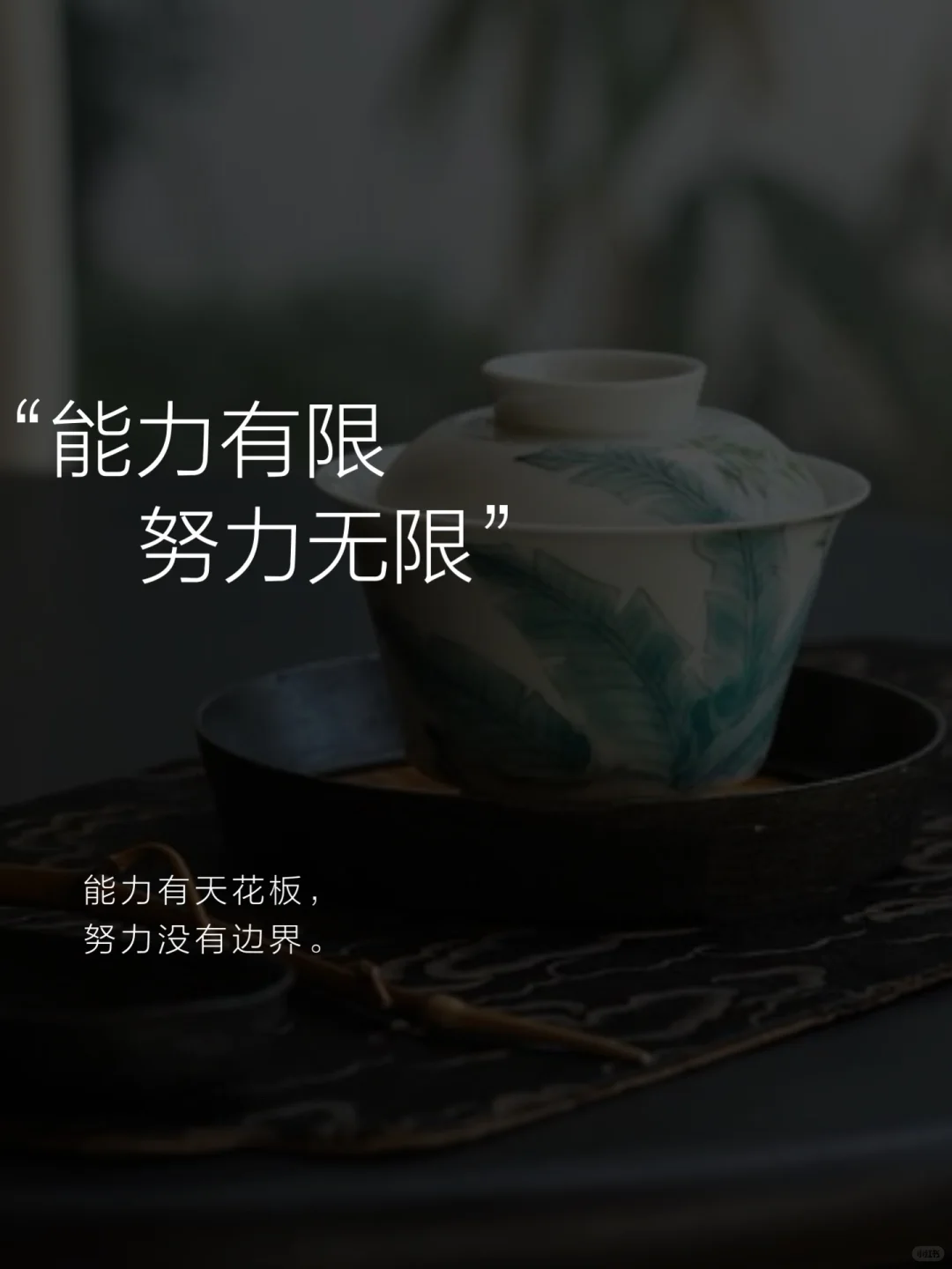 努力是人生的态度～