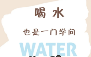 喝水💧也是一门学问！