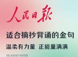 今日精选~温柔励志的央视金句