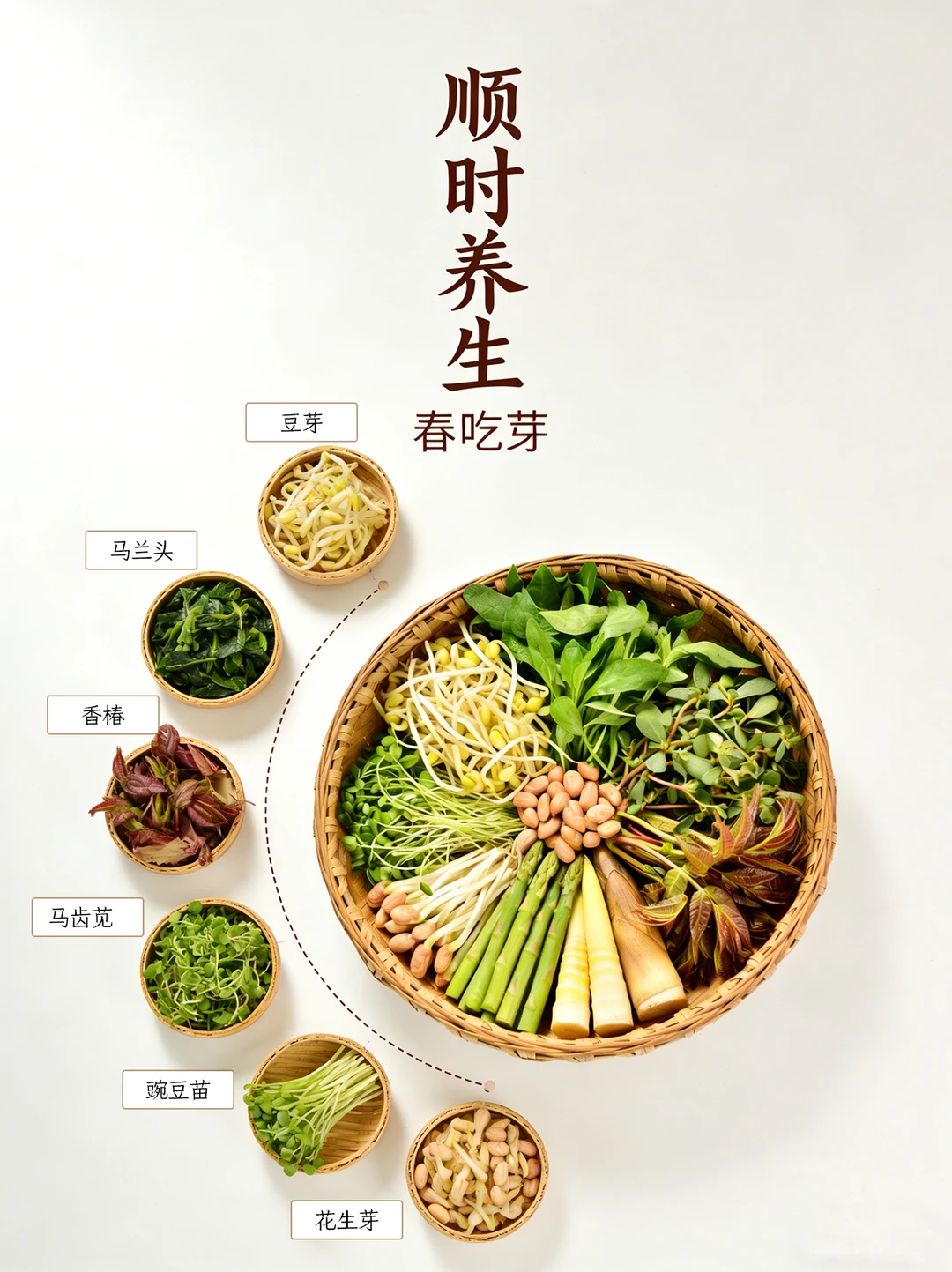 春吃芽✨养生人必吃这8种春天的芽菜