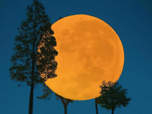 ｜星空童话🌙｜氛围感高清壁纸