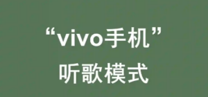 听歌党狂喜❗vivo听歌模式隐藏玩法！