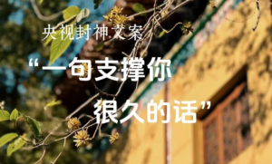 今日精选~央视顶级治愈文案 | 很温柔很治愈！