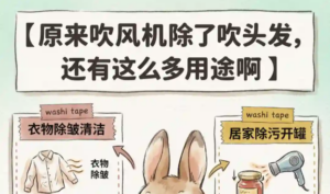 原来吹风机除了吹头发，还有这么多用途啊✨