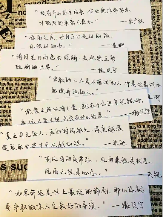 今日精选~📌央视文案~顶级🔝天花板