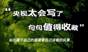 今日精选~央视太会写了，句句值得收藏！