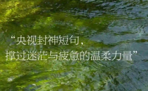 今日精选~央视封神短句｜那些让你撑过迷茫与疲惫的温柔力量！