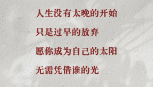 今日精选~央视顶级金句分享