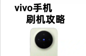 vivo手机刷机攻略，建议收藏！